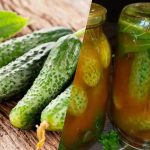 Komkommers sluiten in chiliketchup voor de winter: 3 weergaloze recepten